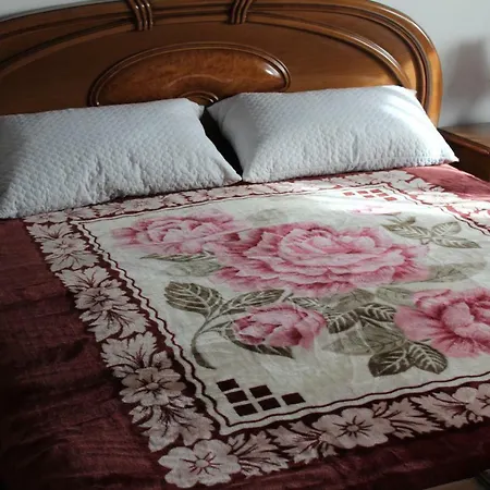 Gioia Bed & Breakfast Marghera