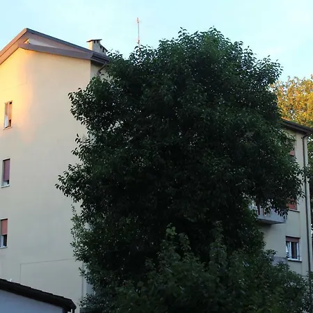 Gioia Маргера