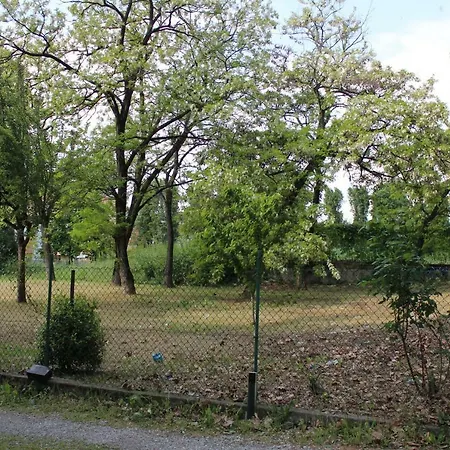 Gioia * Маргера